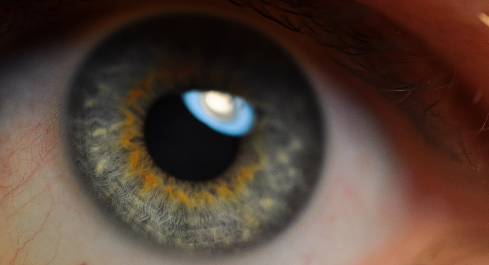 Extreme macro photograph of a human eye, iris in sharp detail around a dark pupil