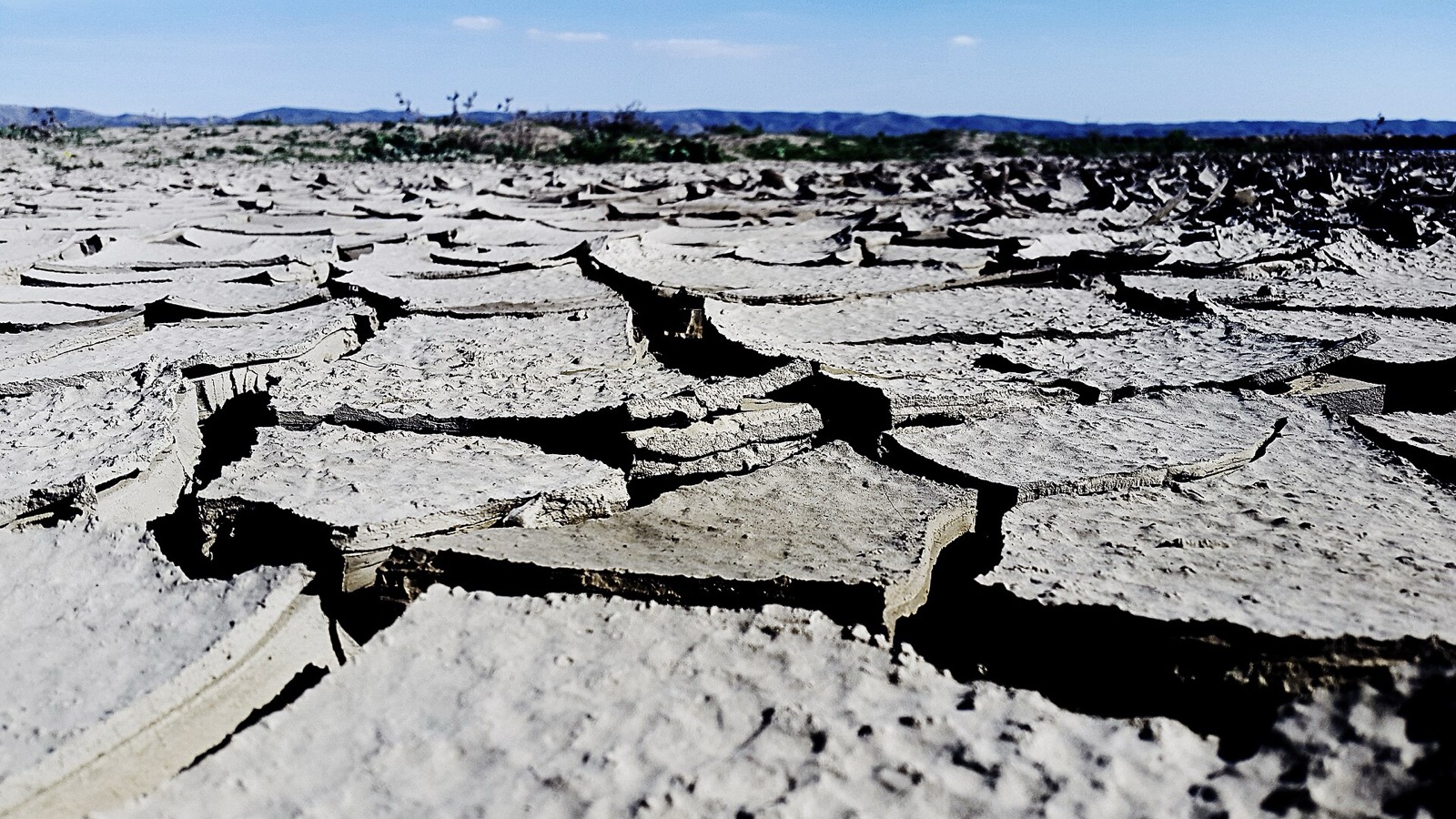 Cracked, parched earth stretches to the horizon under a dry sky.