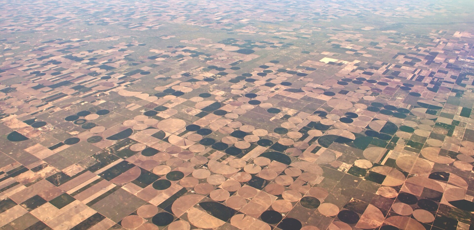 Hundreds of center-pivot irrigation circles stretching to the horizon, seen from a high aircraft window