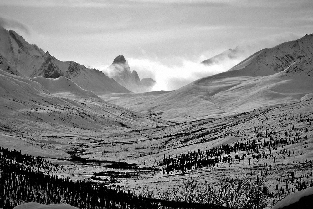 The Yukon