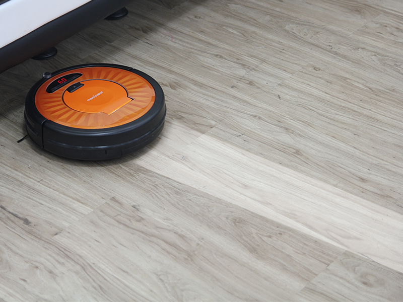A robotic vacuum at work. No arms, no legs, no face — and the best-selling autonomous machine ever built.